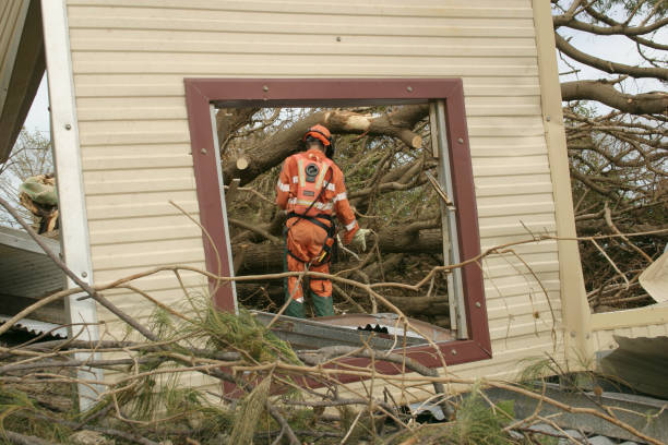 Best Leaf Removal  in Garland, TX